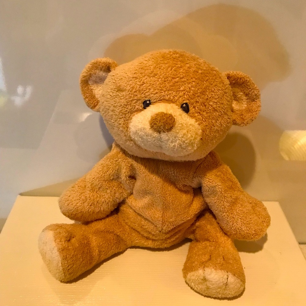teddy bear
